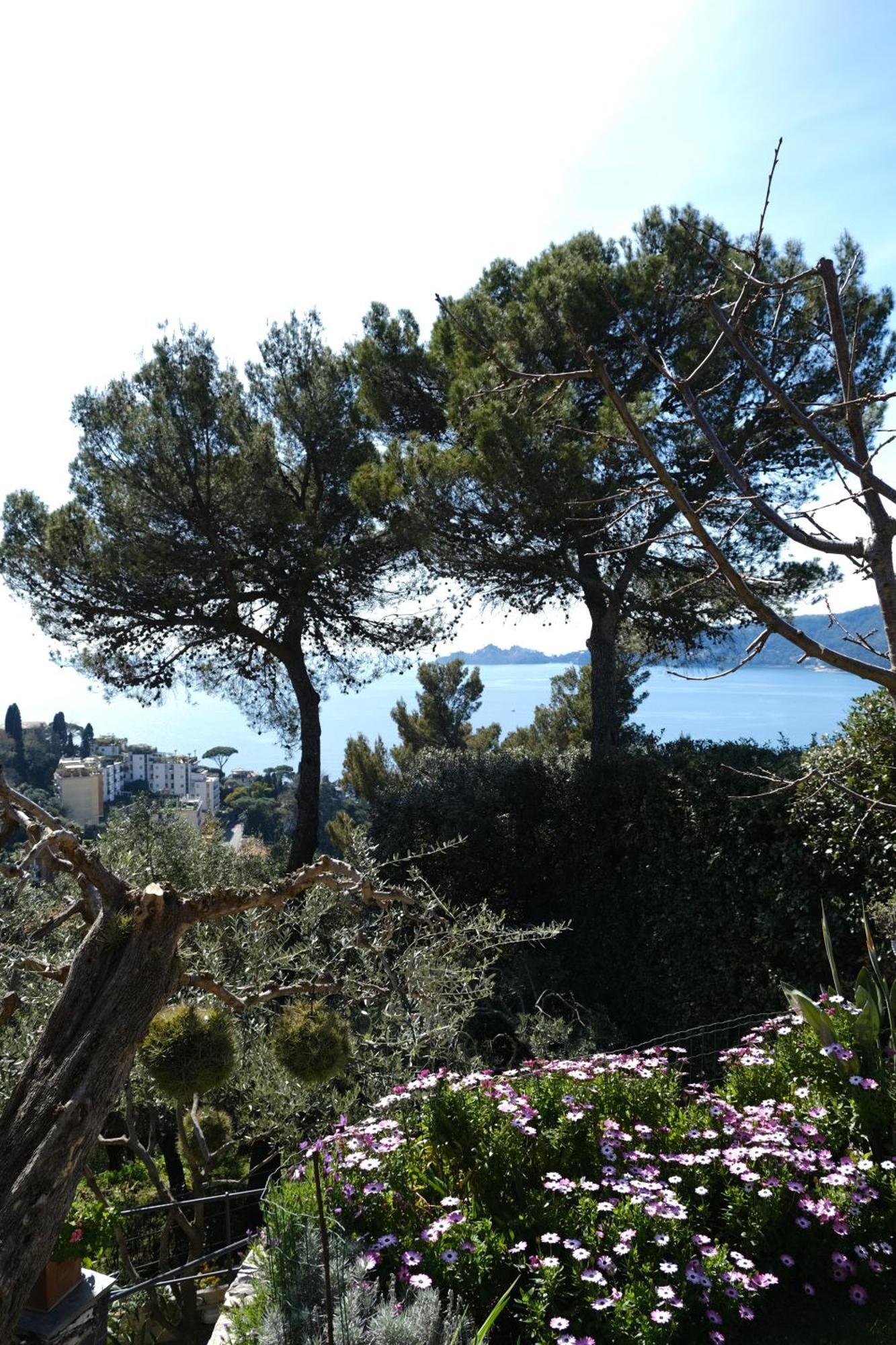 L'Alcova Tra Gli Ulivi By Portofinovacanze Zoagli Dış mekan fotoğraf