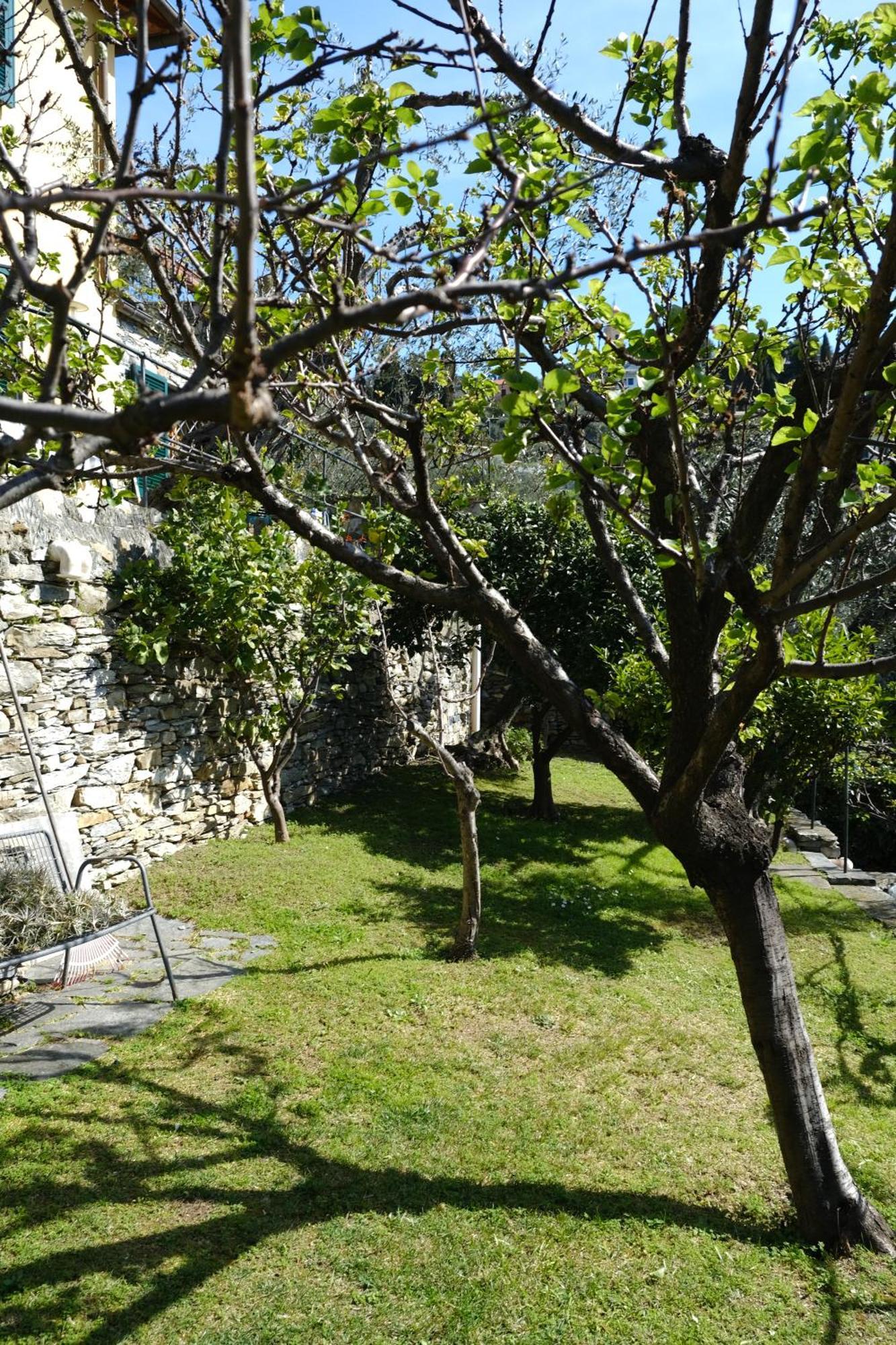 L'Alcova Tra Gli Ulivi By Portofinovacanze Zoagli Dış mekan fotoğraf