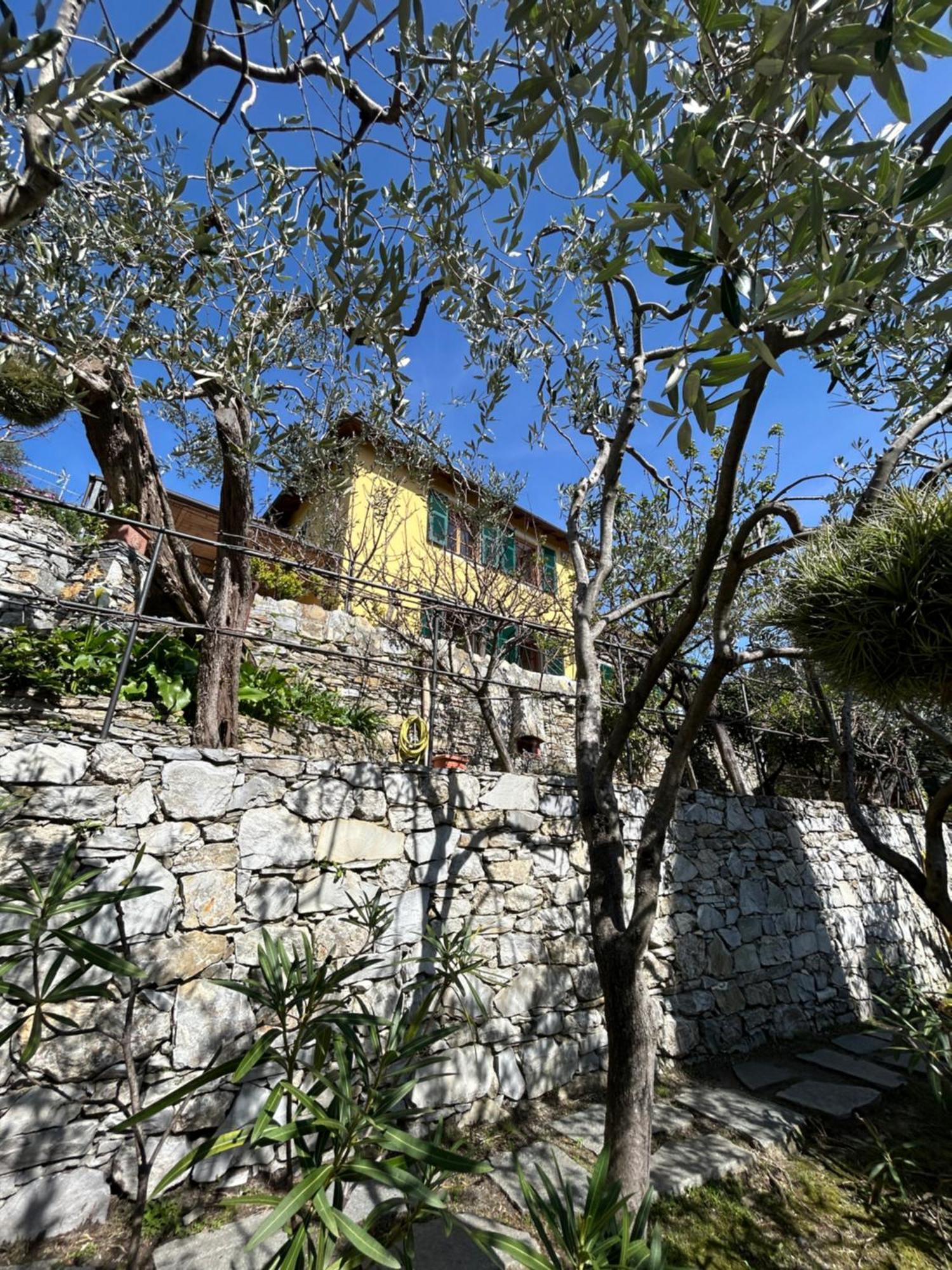 L'Alcova Tra Gli Ulivi By Portofinovacanze Zoagli Dış mekan fotoğraf