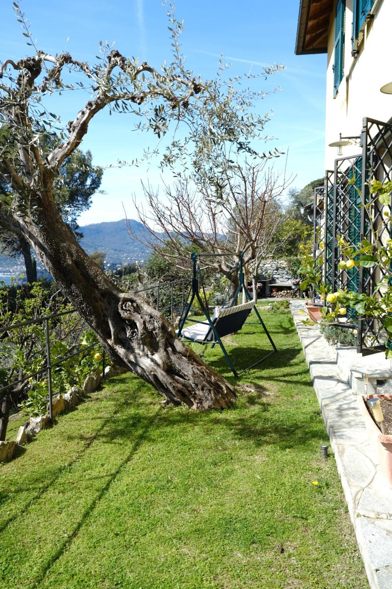 L'Alcova Tra Gli Ulivi By Portofinovacanze Zoagli Dış mekan fotoğraf