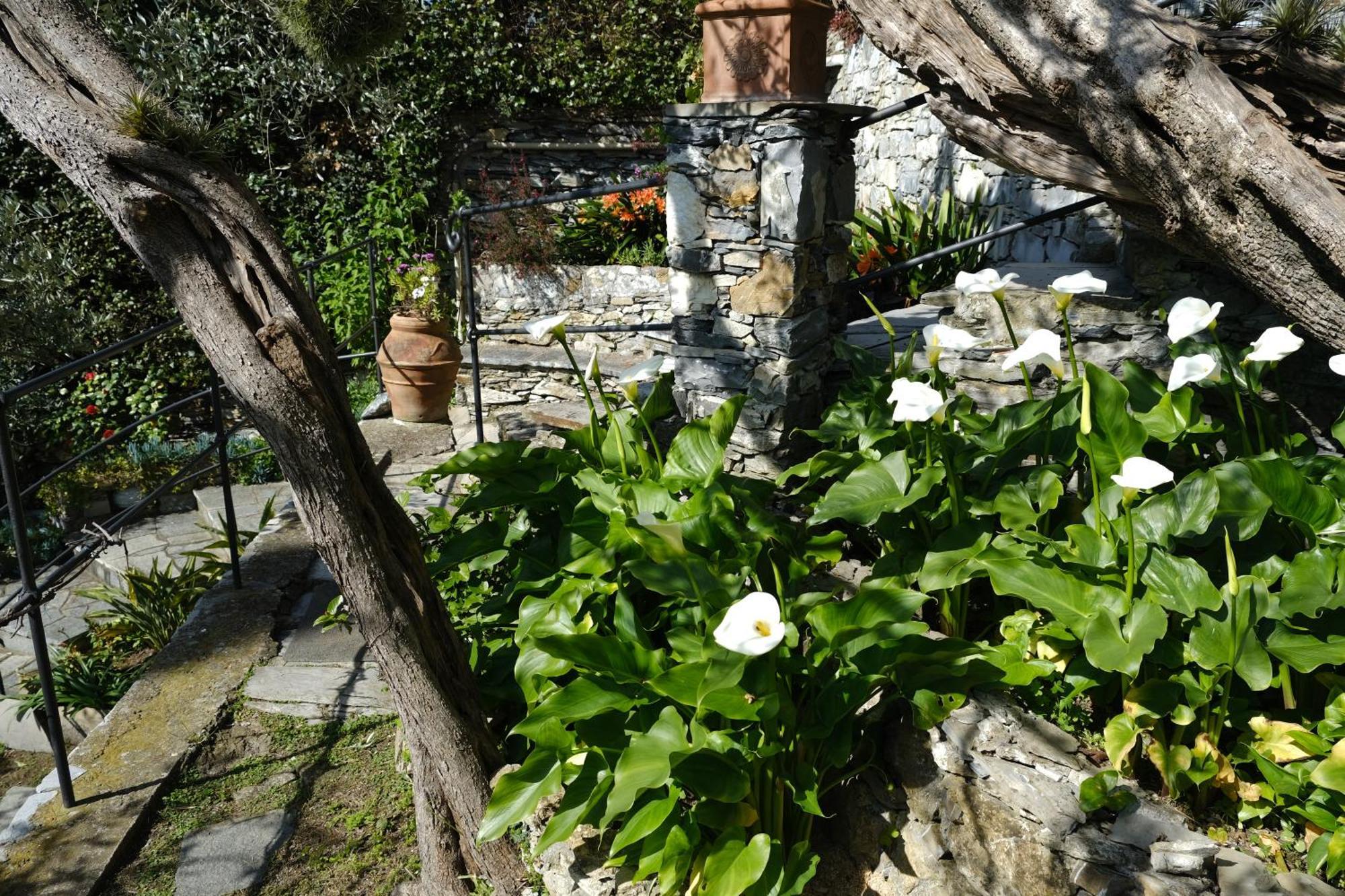 L'Alcova Tra Gli Ulivi By Portofinovacanze Zoagli Dış mekan fotoğraf